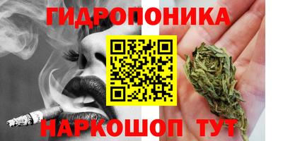 Альфа ПВП Дубна