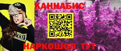 Альфа ПВП Дубна