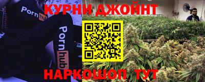 Альфа ПВП Дубна