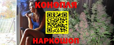 Альфа ПВП Дубна