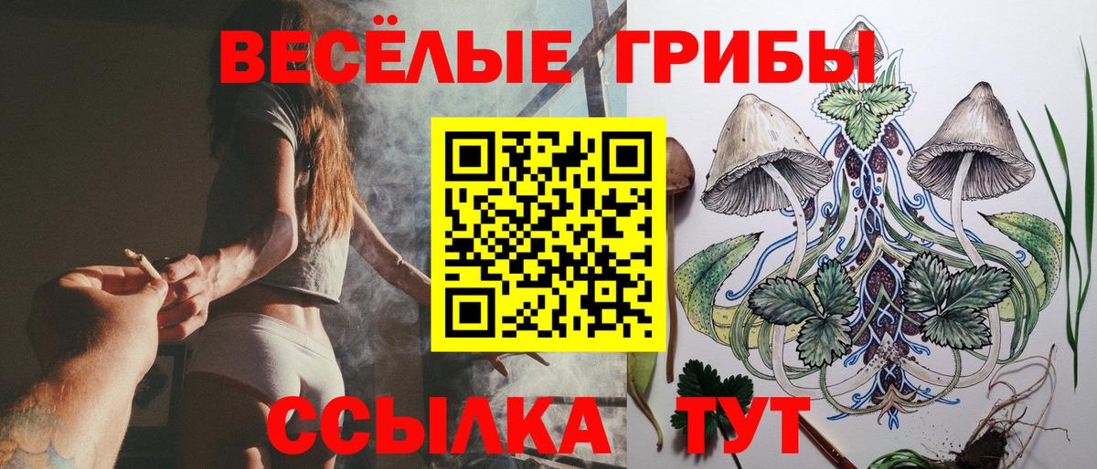 Галлюциногенные грибы прущие грибы Лесосибирск